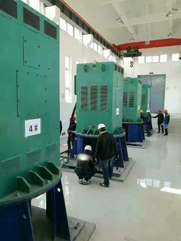 嵊州某污水处理厂使用我厂的立式高压电机安装现场生产厂家